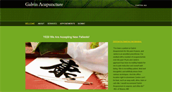 Desktop Screenshot of galvinacupuncture.com