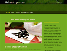 Tablet Screenshot of galvinacupuncture.com